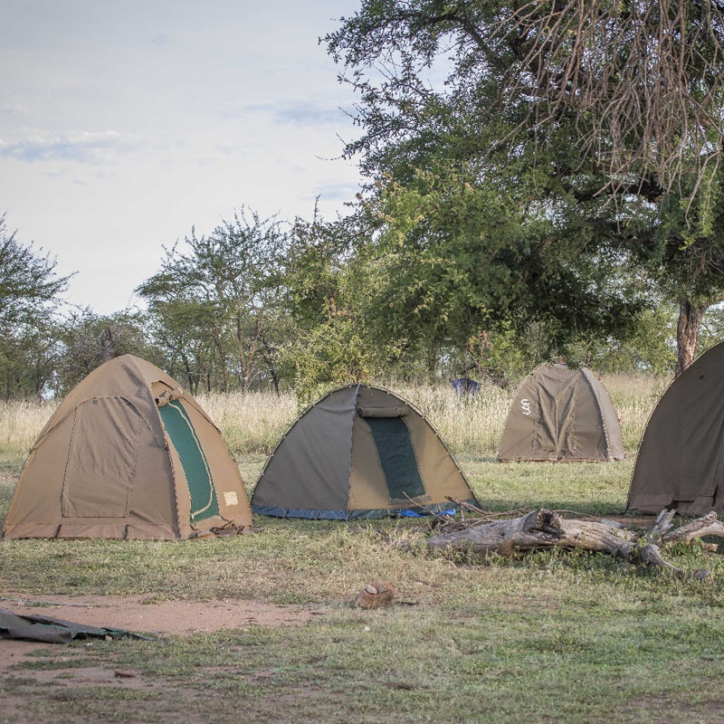 Tanzania camping safari