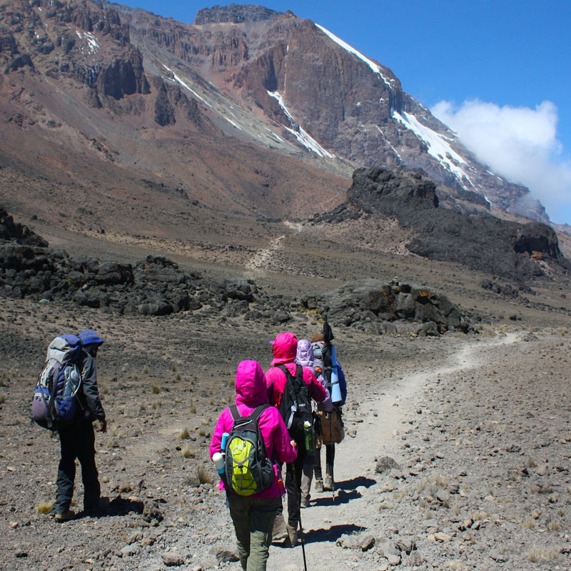 Kilimanjaro lemosho route